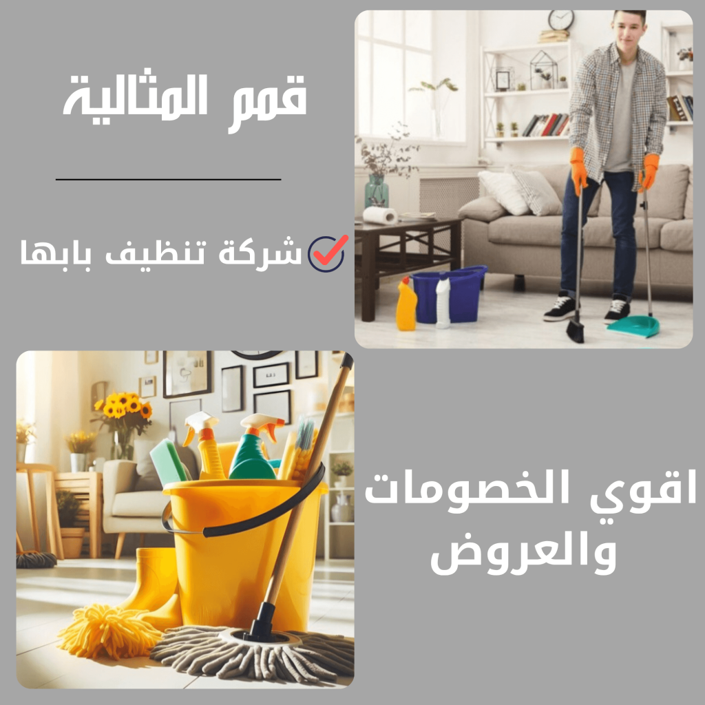 تنظيف بيوت بابها