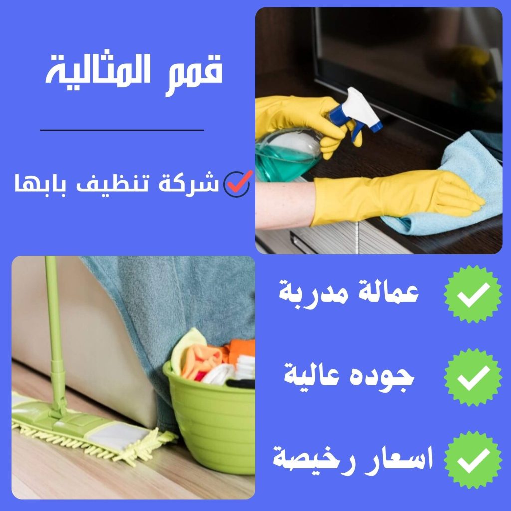 شركة تنظيف بابها مع التوضيح