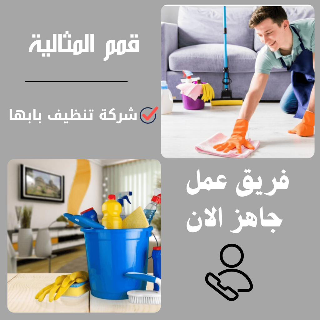 شركة نظافة بابها 